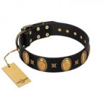 "Doggie Woggie" Designer Handmade FDT Artisan Black Leather English Bull Terrier Collar with Ovals and Studs