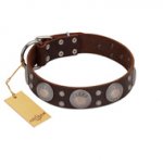 "Imperial Legate" FDT Artisan Brown Leather English Bull Terrier Collar with Big Round Plates