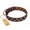 'Strong Shields' Designer FDT Artisan Brown Leather English Bull Terrier Collar with Handset Decor