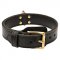 Extra Strong 2 ply Leather Bull Terrier Collar for Training