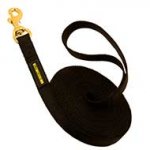 Nylon English Bull Terrier Leash for Training and Tracking