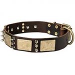 Leather Bull Terrier Collar with Metal Plates and Spikes