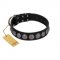 "Black Raven" Handmade FDT Artisan Black Leather English Bull Terrier Collar with Silver-Like Adornments