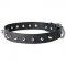 Handcrafted Narrow Leather Bull Terrier Collar with Spikes