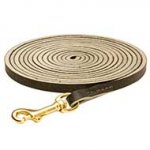 Professional Leather Bull Terrier Leash for Tracking