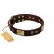 "Bow-Wow Effect" FDT Artisan Brown Leather English Bull Terrier Collar with Plates and Ornate Studs
