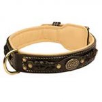 Handcrafted Padded Leather Bull Terrier Collar for walking