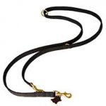 All Weather Nylon Bull Terrier Leash for Police Dogs