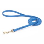 Amazing Blue Biothane English Bull Terrier Leash for Walking, Tracking