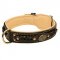 Handcrafted Padded Leather Bull Terrier Collar for walking
