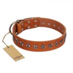 "Star Trek" FDT Artisan Tan Leather English Bull Terrier Collar Decorated with Stars