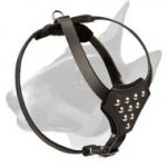 English Bull Terrier High Quality Leather Dog Harness for Puppies