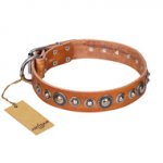 "Daily Chic" FDT Artisan Tan Leather English Bull Terrier Collar with Decorations