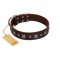 "Stellar Fairy " FDT Artisan Brown Leather English Bull Terrier Collar with Chrome-plated Star-like Decorations