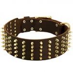 Extra Wide Leather Bull Terrier Collar with 5 Rows of Spikes