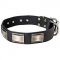 Exceptional Leather Bull Terrier Collar For Everyday Use