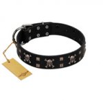 "Black Jack" Stylish Handmade FDT Artisan Black Leather English Bull Terrier Collar
