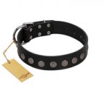 "Silent Star" Handmade FDT Artisan Designer Black Leather English Bull Terrier Collar with Engraved Plates