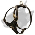 Adjustable Padded Leather Bull Terrier Harness for Dog Walking