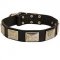 Handcrafted Leather Bull Terrier Collar with Nickel Plates