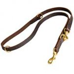 Multimode Bull Terrier Leash Equipped With Solid Brass Snap Hook