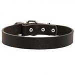 Simple and Elegant Leather Bull Terrier Collar