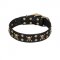 'Jolly Rojer' FDT Artisan Bull Terrier Leather Dog Collar with Pirate Skulls and Studs - 1 1/2 inch (40 mm) wide