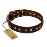 "Fashion Studs" FDT Artisan Decorated Leather English Bull Terrier Collar with Old Bronze-Plated Steel Hardware