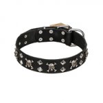 FDT Artisan 'Rock 'n' Roll Style' Leather English Bull Terrier Collar with Skulls, Bones and Studs 1 1/2 inch (40 mm) wide