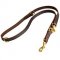Multimode Bull Terrier Leash Equipped With Solid Brass Snap Hook