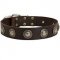 Gorgeous Leather Bull Terrier Collar Decorated With Circles