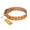 'Top-Flight' FDT Artisan Adorned Tan Leather English Bullterrier Collar