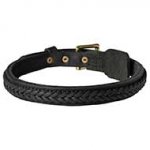 Braided Leather Bull Terrier Collar for Training