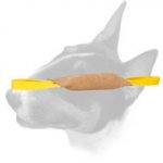 High-Quality Leather Bull Terrier Bite Tug with 2 Handles