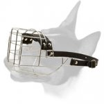 'The Silencer' Wide Wire Cage English Bull Terrier Muzzle with Soft Nose Padding