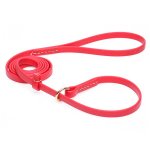 Durable Red Biothane English Bull Terrier Leash and Collar Combo