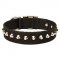 Studded Nylon Bull Terrier Collar For Everyday Use