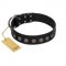 "Silent Star" Handmade FDT Artisan Designer Black Leather English Bull Terrier Collar with Engraved Plates