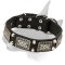 Leather Bull Terrier Collar with Nickel Studs and Vintage Plates