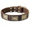 Wide Vintage Design Bull Terrier Collar with Brass Plates