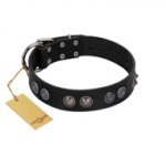 "Silver Medallions" Mod FDT Artisan Black Leather English Bull Terrier Collar with Round Plates