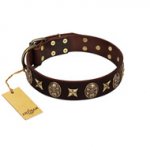 "Captain Hook" FDT Artisan Brown Leather English Bull Terrier Collar with Stars and Skulls