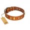 "Egyptian Script" FDT Artisan Tan Leather English Bull Terrier Collar with Plates and Small Studs