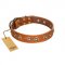 "Precious Relic" FDT Artisan Tan Leather English Bull Terrier Collar Adorned with Old Bronze Look Studs