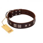 "Object of Virtu" FDT Artisan Brown Leather English Bull Terrier Collar with Old Silver-like Square Studs and Pyramids