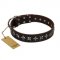 "Stars of Glory" FDT Artisan Brown Leather English Bull Terrier Collar for Comfortable Walking