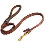 Braided Leather English Bull Terrier Leash with Round Handle