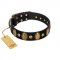 "Venerable Pawty" FDT Artisan Black Leather English Bull Terrier Collar with Old Bronze-like Ovals and Studs