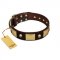 "Heavy Metal" FDT Artisan Brown Leather English Bull Terrier Collar with Old Bronze-like Skulls and Plates