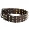 English Bull Terrier 2 inch Wide Leather Dog Collar with Spikes